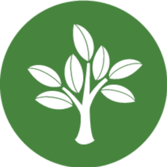 Environment icon
